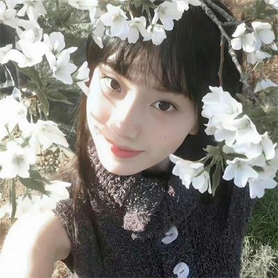 野良猫洛克：女番长